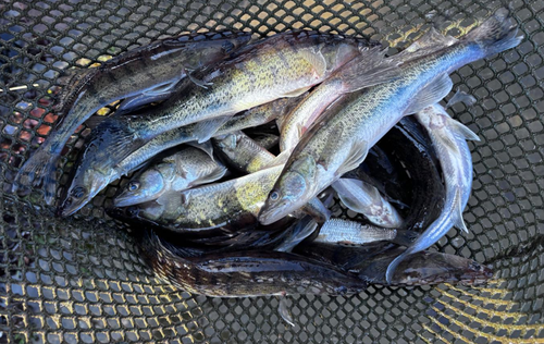 Snímek obrazovky 2026-03-24 065736.png